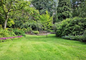 Optimiser l'expérience du jardin à Lanzac