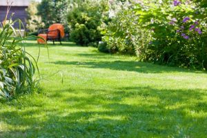 travaux jardin et paysage Lanzac